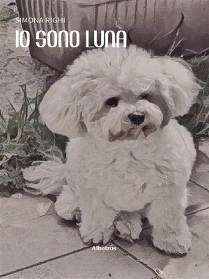 cover image of Io sono luna